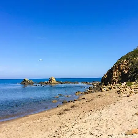 Hh Selection Emiro Lascari